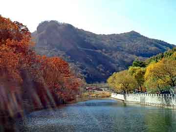 新澳門最準(zhǔn)最快免費(fèi)——探索澳門的最新動(dòng)態(tài)與獨(dú)特魅力，澳門最新動(dòng)態(tài)揭秘，魅力獨(dú)特，免費(fèi)獲取最準(zhǔn)最快信息指南
