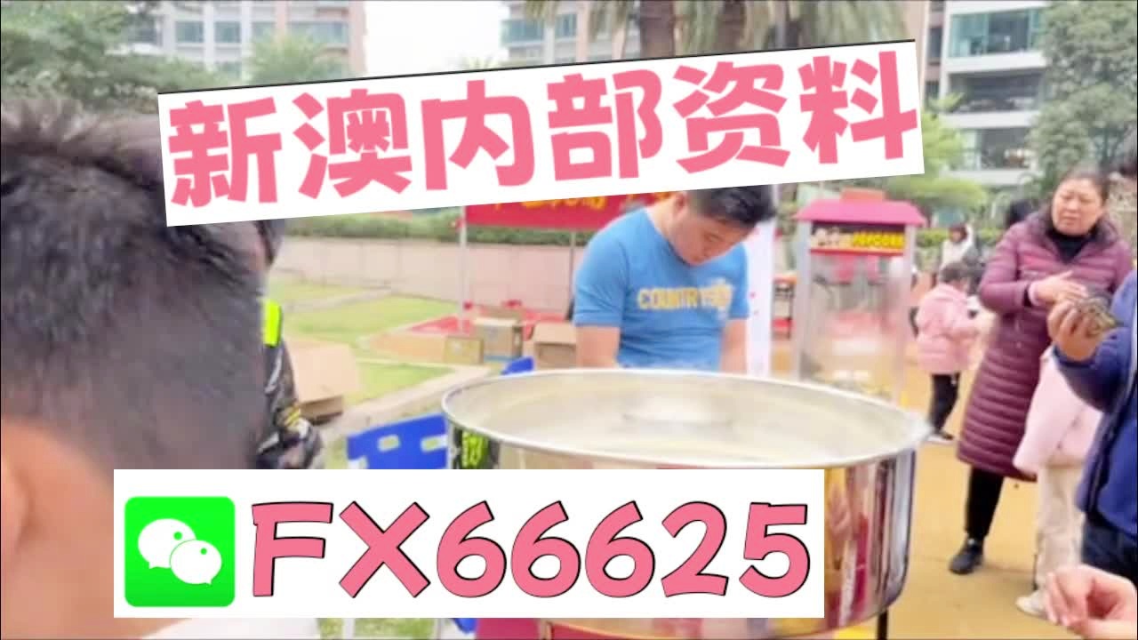新澳天天彩資料大全最新版本陽肖，探索與策略，新澳天天彩資料大全最新版本陽肖，探索與策略揭秘