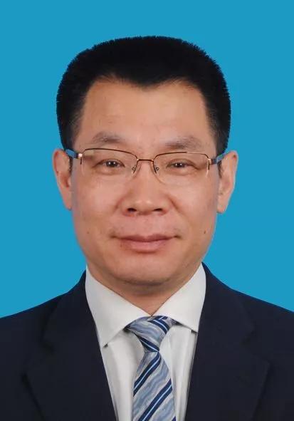 2024新奧正版資料免費獲取指南，2024新奧正版資料免費獲取攻略
