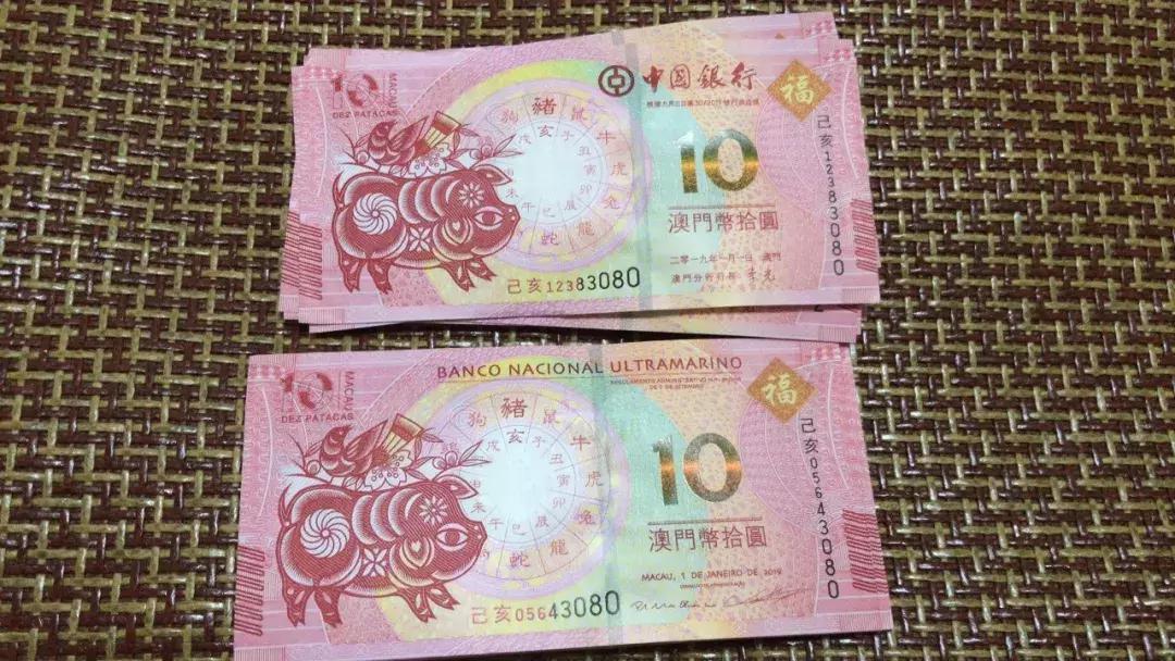新澳門生肖走勢圖，深度解析與預(yù)測，澳門生肖走勢圖深度解析及預(yù)測報告