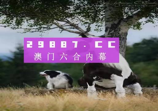 澳門天天空彩官網(wǎng)資料，探索彩票世界的門戶，澳門天天空彩官網(wǎng)資料，彩票世界探索門戶