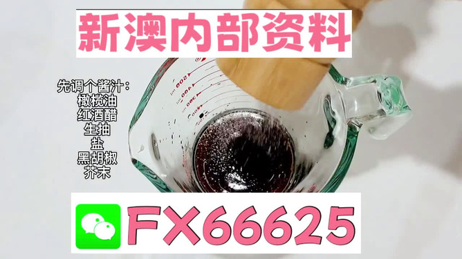 2025年新澳正版免費料，全面解析與獨家資訊，獨家解析，揭秘新澳正版免費料獨家資訊至2025年