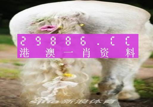 澳門羊了個羊與各大圖庫的資料揭秘，2023年澳門今晚必中一肖一碼永久免費資料庫大解密，澳門羊了個羊與資料庫揭秘，2023年必中一肖一碼永久免費資料大解密