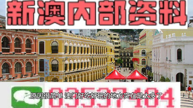 澳門精準(zhǔn)資料大全免費(fèi)，探索與解析，澳門精準(zhǔn)資料大全免費(fèi)解析探索