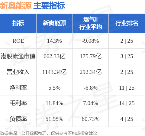 新奧資料大全正版資料，全面解析與深度探索，新奧資料大全，正版資料深度解析與探索