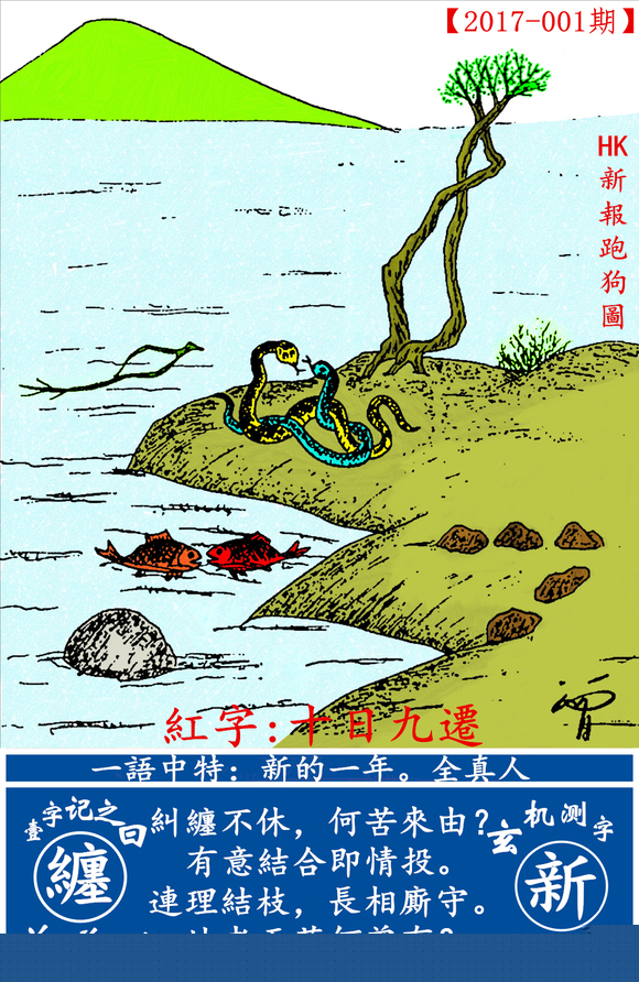 探索全新版跑狗圖，7777788888的魅力與策略，探索全新版跑狗圖，7777788888的魅力與攻略解析