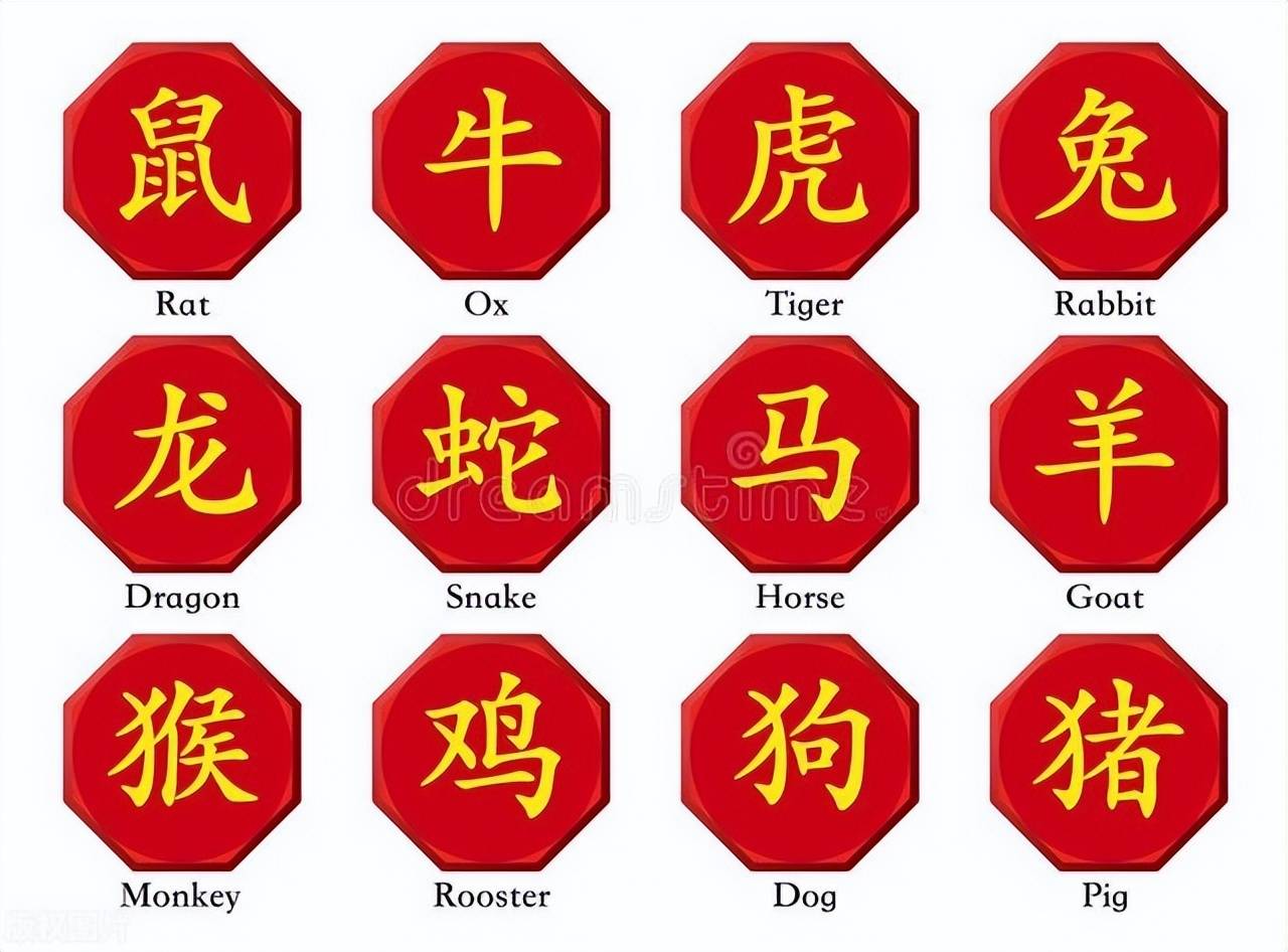 新澳特碼，羊?；⒏鲾?shù)10——揭秘背后的數(shù)字奧秘，揭秘新澳特碼數(shù)字奧秘，羊牛虎各數(shù)背后的秘密