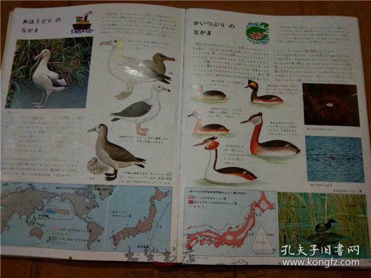 今日正版跑狗圖分享，探索7777788888跑狗圖的魅力，今日正版跑狗圖分享，探索魅力十足的777778跑狗圖