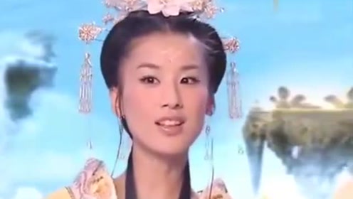 曾道道人資料免費大全，深度探索與解析，曾道道人資料深度解析與免費大全探索