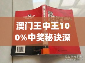 新澳門王中王期期中，探索與解析，新澳門王中王期期中，深度探索與解析