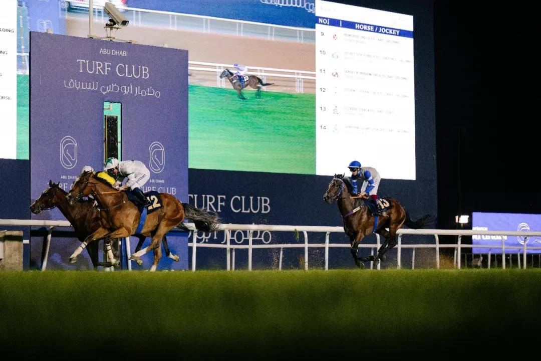 澳門特馬今晚開獎一，探索彩票背后的秘密與期待，澳門特馬今晚開獎，揭秘彩票背后的秘密與期待大獎的激動心情