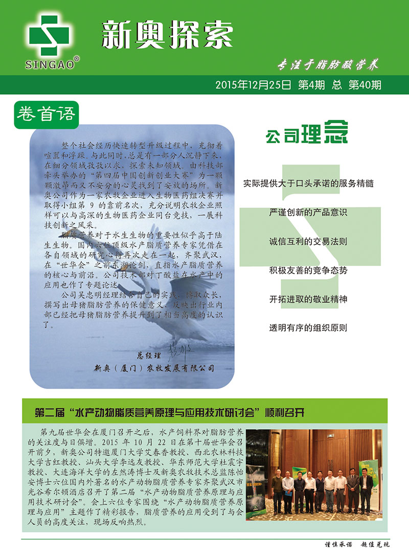 2025新澳正版資料查詢指南，2025新澳正版資料查詢手冊