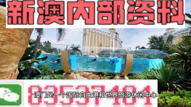 新澳的資料去哪里找——全面指南，新澳資料全攻略，尋找資料的途徑與指南
