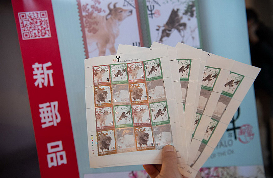 澳門值日生肖600圖庫(kù)與八百圖庫(kù)開獎(jiǎng)，探索生肖圖庫(kù)的魅力與奧秘，澳門生肖圖庫(kù)開獎(jiǎng)揭秘，探索值日生肖600圖庫(kù)與八百圖庫(kù)的魅力與奧秘