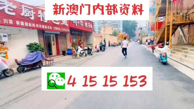 探索未來，新澳門天天開好彩的2025展望，未來展望，新澳門2025年天天彩彩紛呈的探索之路
