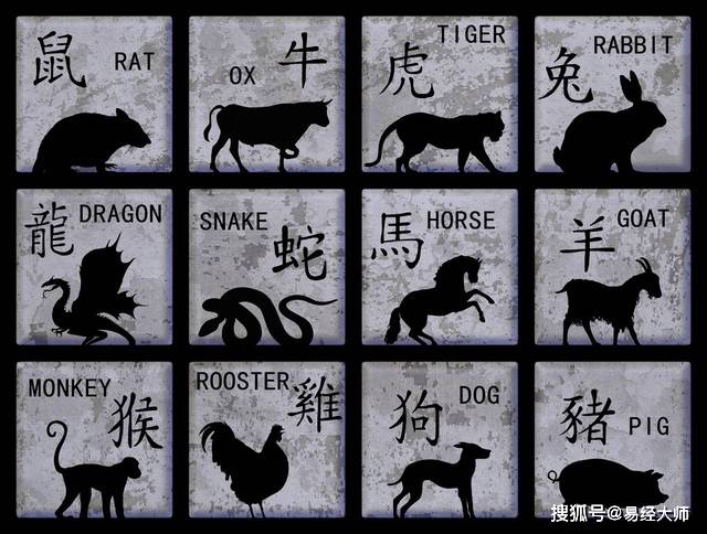 新澳特碼，羊?；⒏鲾?shù)10的獨特魅力與解析，新澳特碼，羊牛虎各數(shù)10的獨特魅力深度解析