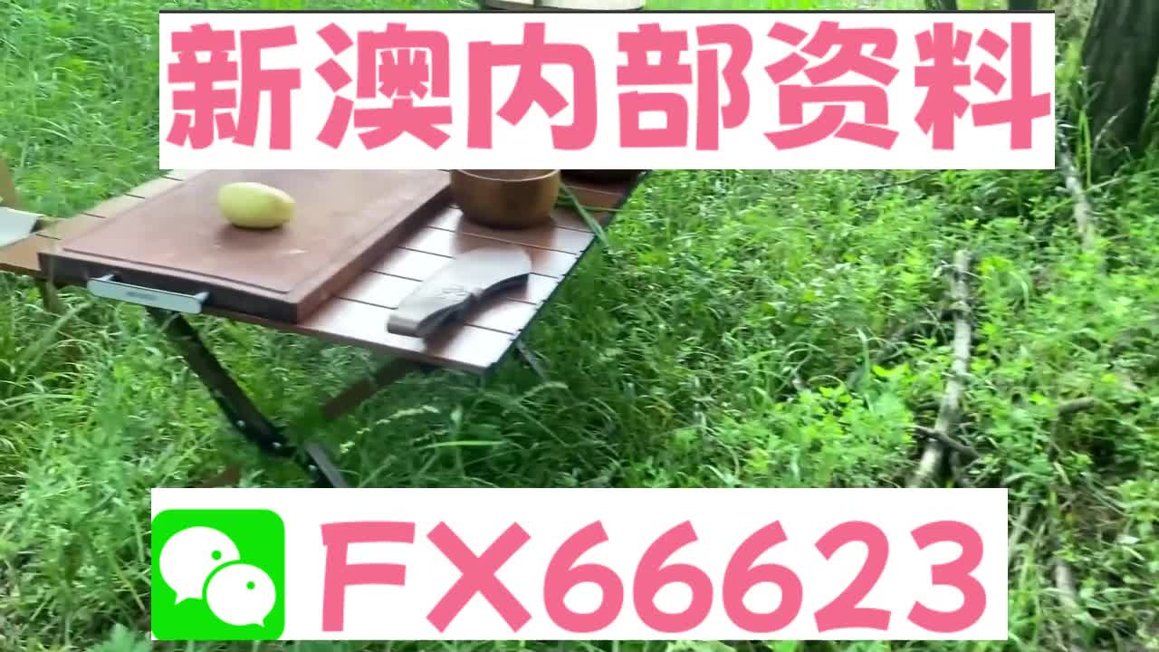 新奧特碼走勢圖解析與預(yù)測，新奧特碼走勢圖解析與預(yù)測，未來趨勢探討