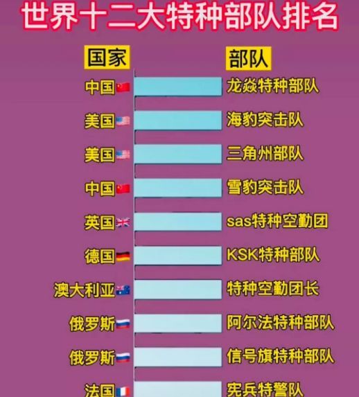 中國十大王牌特種部隊(duì)，實(shí)力與榮耀的象征，中國十大王牌特種部隊(duì)，實(shí)力與榮耀的巔峰標(biāo)志