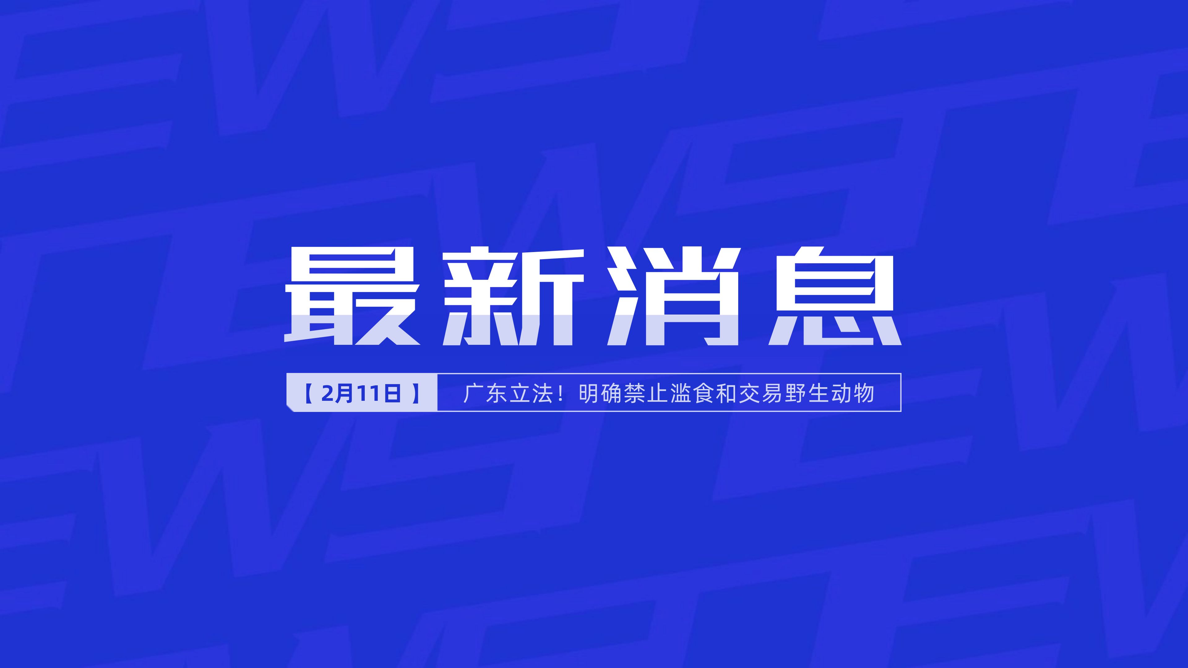新聞最新新聞，掌握時(shí)事熱點(diǎn)，洞悉世界動(dòng)態(tài)，時(shí)事熱點(diǎn)速遞，掌握全球最新動(dòng)態(tài)新聞