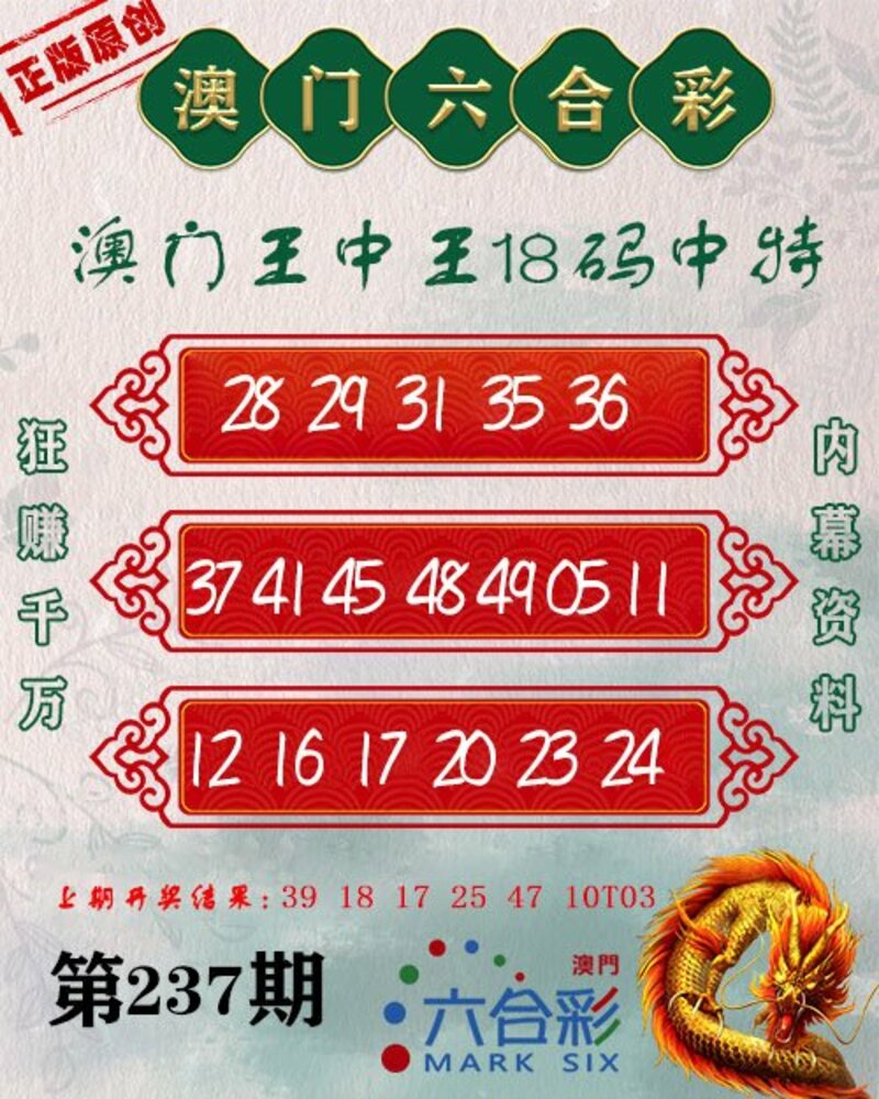 新澳門王中王期期中，探索與解析，新澳門王中王期期中，深度探索與解析