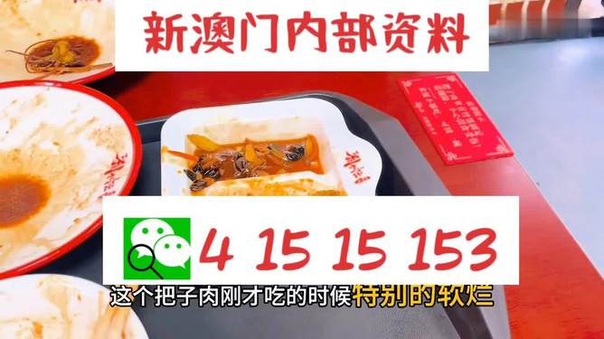 澳門王中王六碼新澳門，探索與解析，澳門王中王六碼新澳門，深度探索與解析