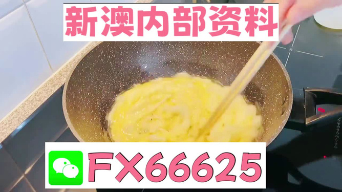 澳門九點(diǎn)半9點(diǎn)半網(wǎng)站——探索與體驗，澳門九點(diǎn)半網(wǎng)站，探索與體驗之旅