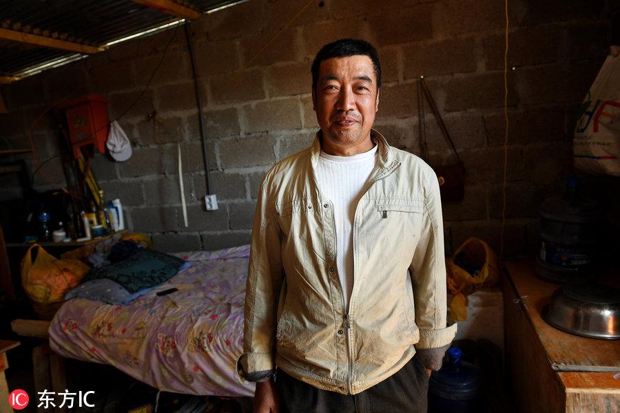 博科圣地組織，深度解析與理解，博科圣地組織深度解析與探究