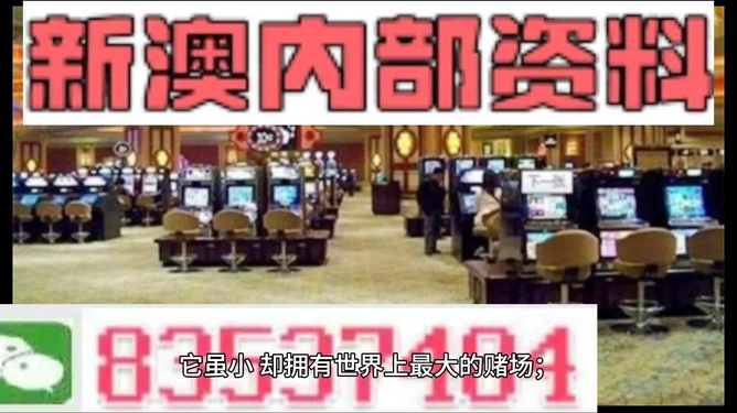 新澳門最精準——探索澳門的精準之旅，澳門精準之旅，探索新澳門的奧秘