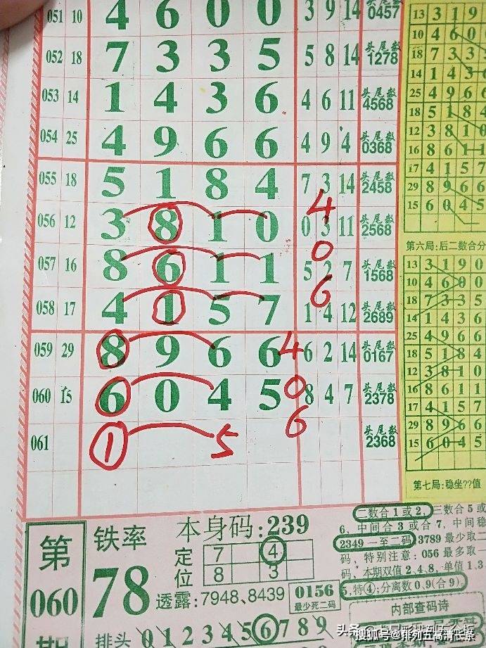 平特肖推算法，探索搜索引擎優(yōu)化的新境界，平特肖推算法，開啟搜索引擎優(yōu)化新境界的探索之旅
