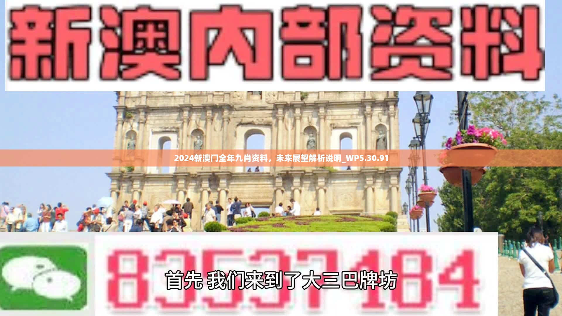 新澳門精準(zhǔn)九肖，揭秘預(yù)測技巧與策略，揭秘新澳門精準(zhǔn)九肖預(yù)測技巧與策略