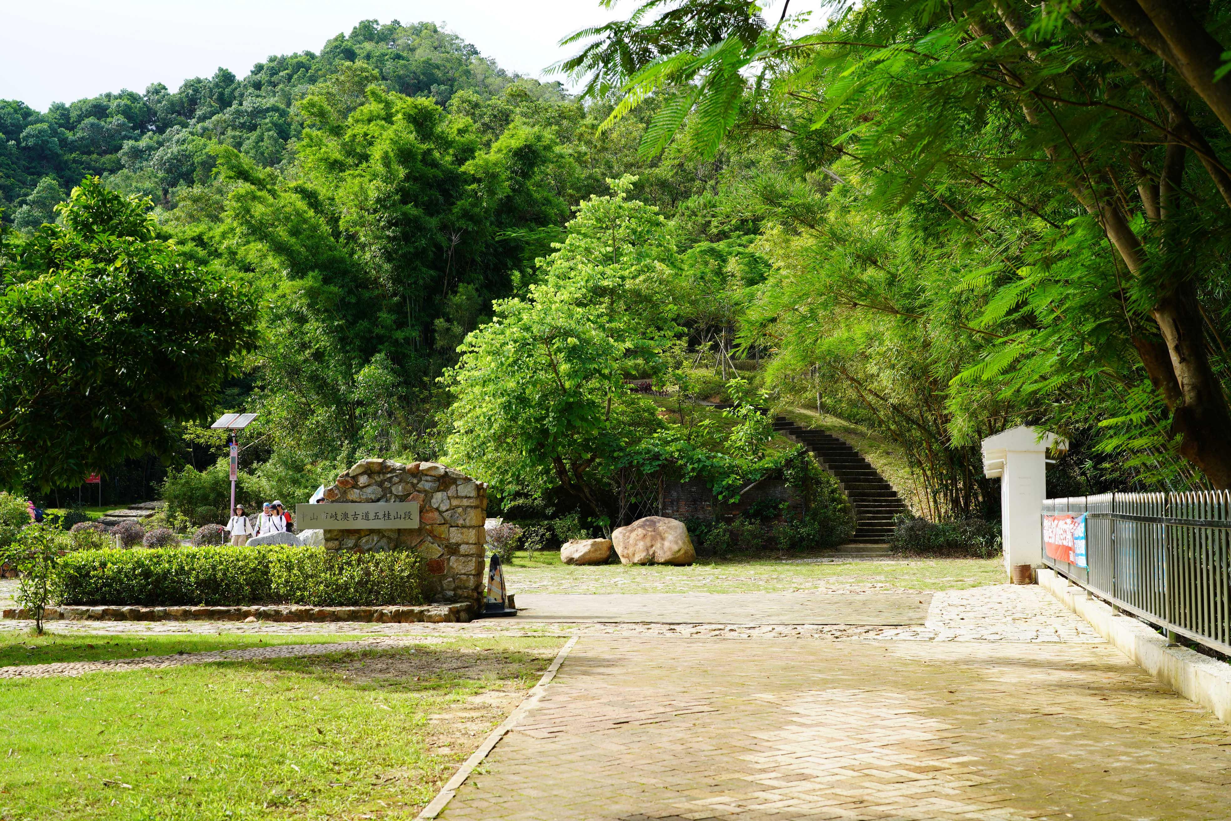 新澳門波色走勢(shì)圖表大全，深度解析與預(yù)測(cè)，澳門波色走勢(shì)圖表解析與預(yù)測(cè)大全