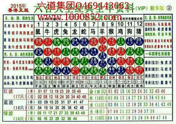揭秘2024十二生肖49碼表——完整指南，揭秘十二生肖49碼表全攻略，2024年最新版指南