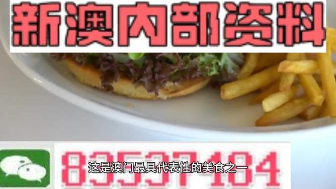 新澳2024生肖最新資料解析與預測，新澳2024生肖解析與預測報告
