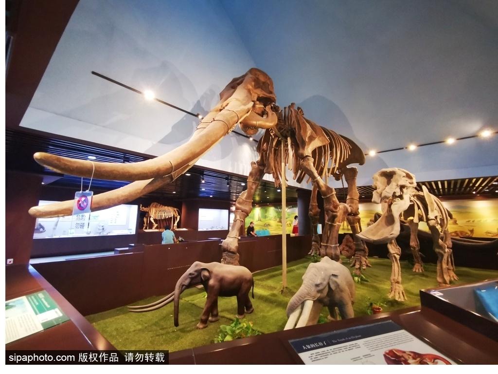 北京必去的十大博物館——探尋千年文化的精華之旅，北京必游十大博物館，千年文化精華之旅探尋記