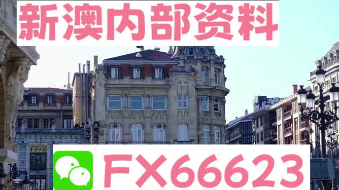澳門六資料大全，深度探索與揭秘，澳門六資料大全，深度探索與揭秘之旅