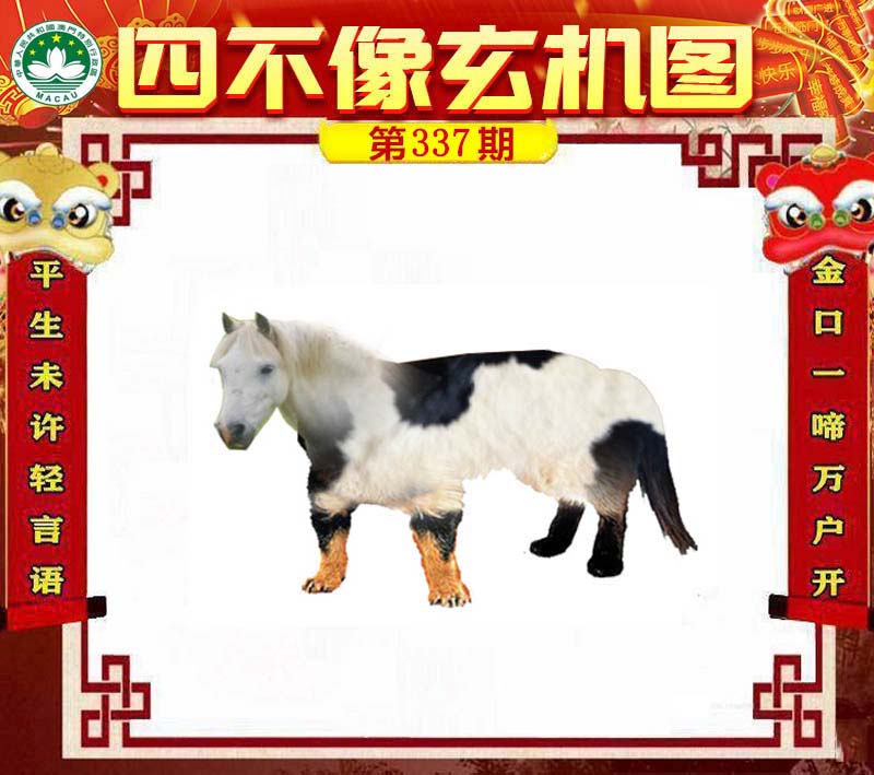 王中王四不像肖一肖中特，探索神秘現(xiàn)象背后的真相，神秘現(xiàn)象背后的真相探索，王中王四不像肖一肖中特揭秘