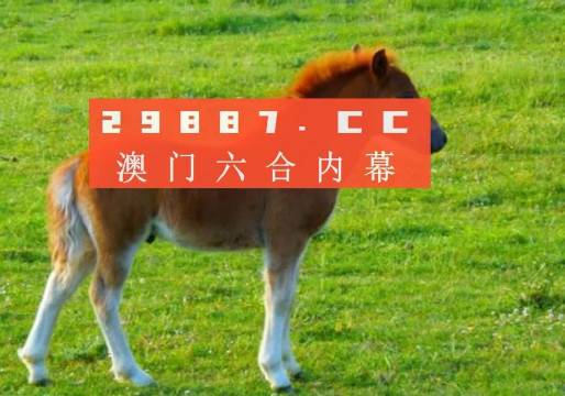 澳門答家婆一肖一馬一中一特，揭秘背后的秘密與獨(dú)特文化魅力，澳門文化魅力深度解析，答家婆一肖一馬一中一特的獨(dú)特傳統(tǒng)與秘密