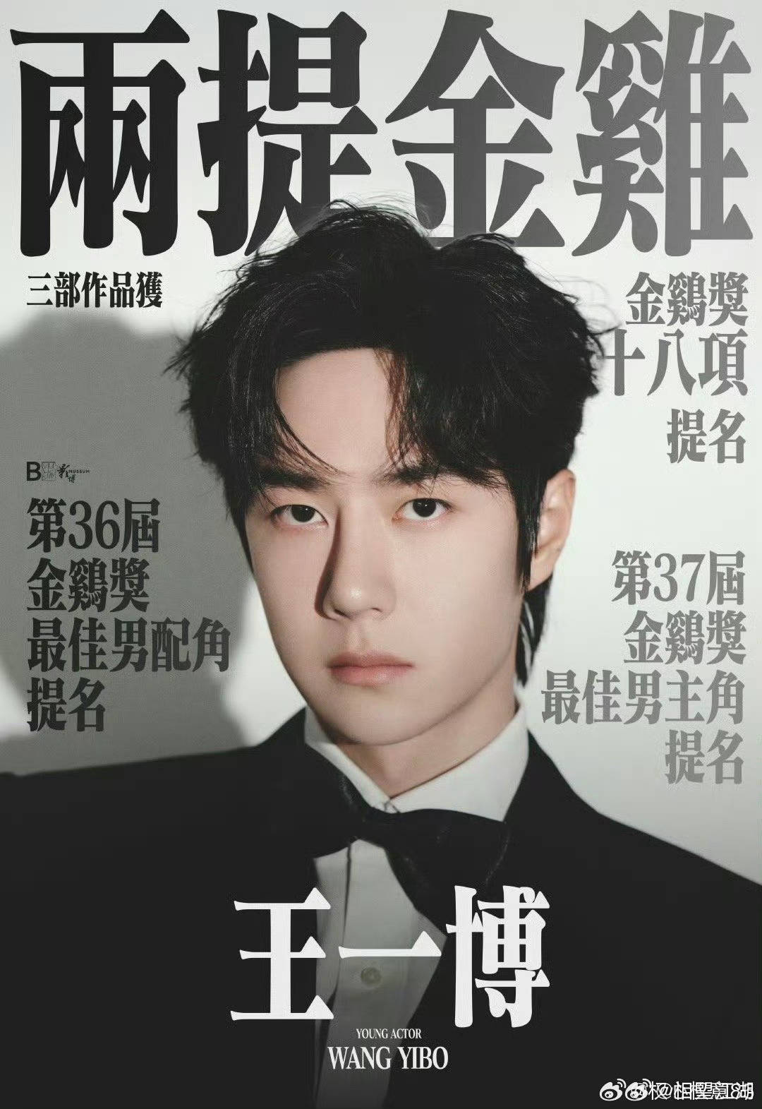 王中王一肖中特論特，深度解析與SEO洞察，深度解析王中王一肖中特論特與SEO洞察