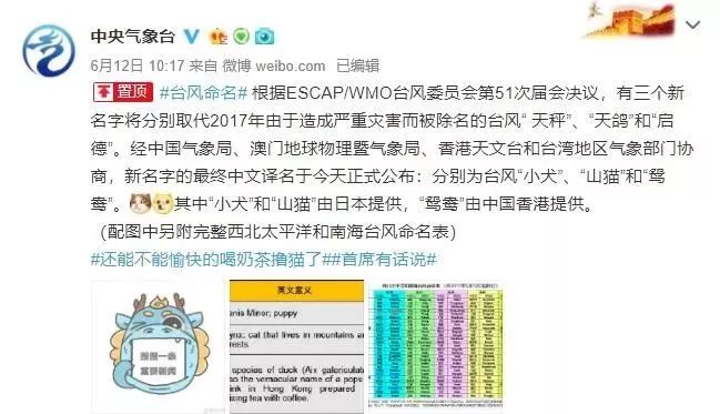 新澳門必中三肖三碼三期必開劉伯，揭秘彩票背后的秘密與策略，揭秘彩票背后的秘密與策略，劉伯的新澳門三期必開三肖三碼預(yù)測技巧