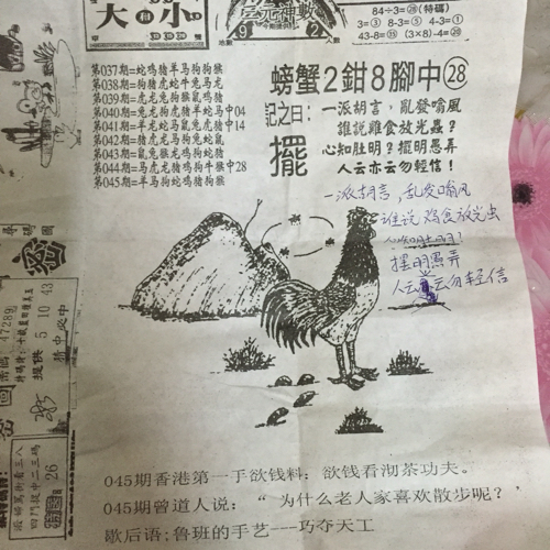揭秘林中的高手王中王猜一肖的奧秘，揭秘林中之王王中王與生肖奧秘探秘