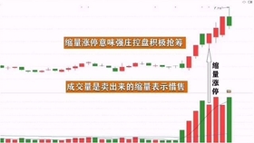 王中王一肖平碼，揭秘背后的故事與SEO策略，王中王一肖平碼背后的故事與SEO策略揭秘