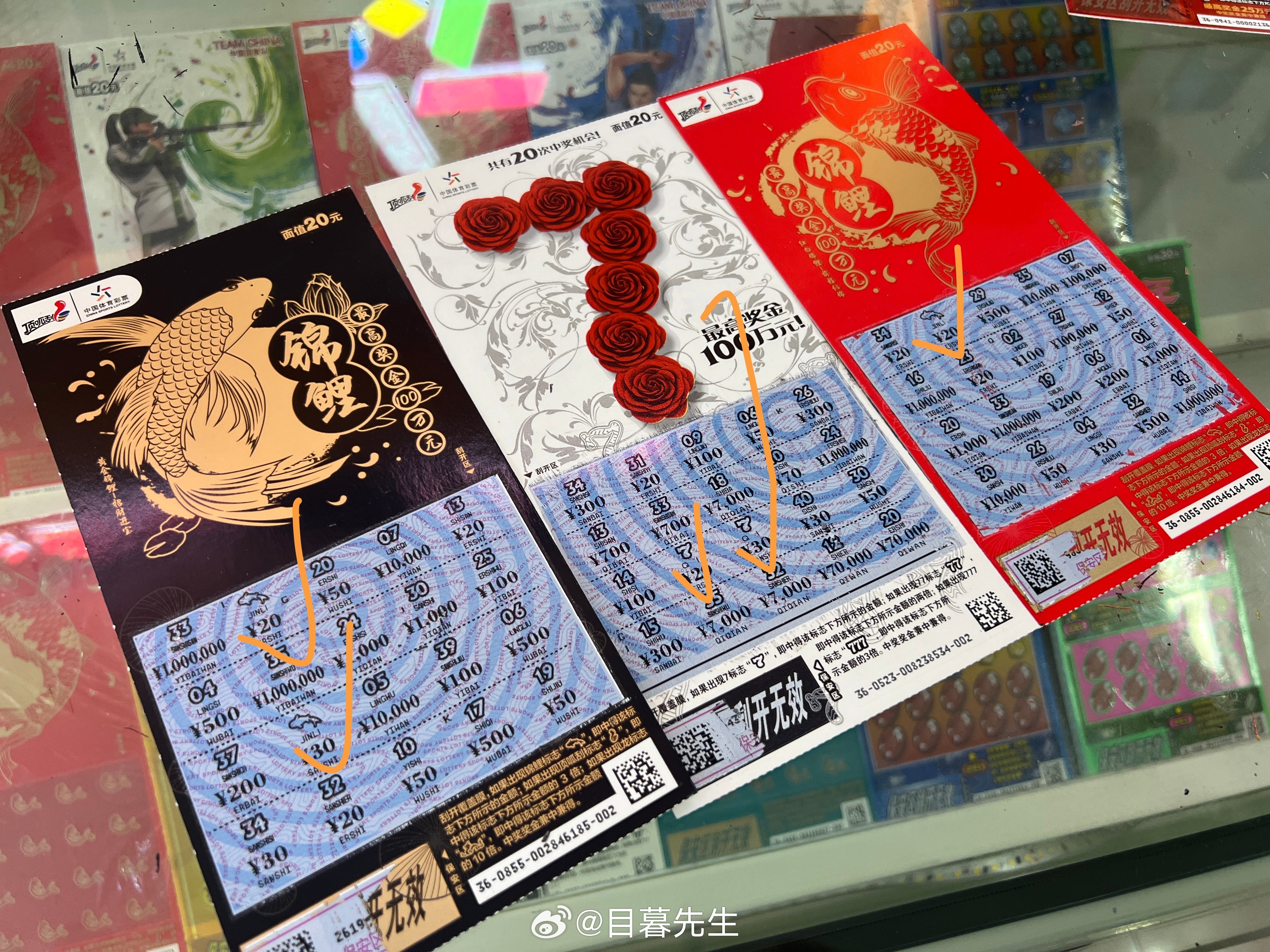 全年王中王一肖中特，深度解析與預(yù)測(cè)，全年王中王一肖深度解析與預(yù)測(cè)，揭秘特肖趨勢(shì)