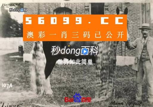 澳門王中王心水王中王，探索與解析，澳門王中王心水奧秘，深度探索與解析