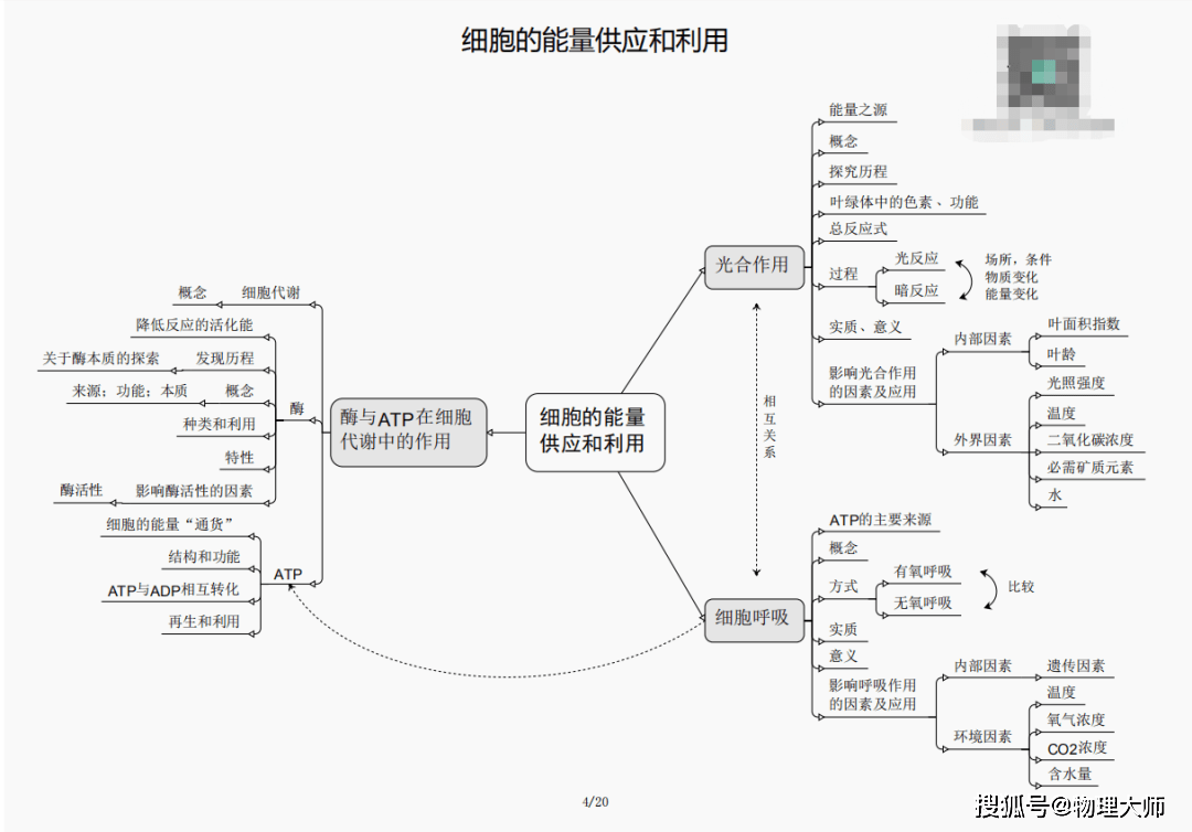 揭秘劉伯溫四肖三期內(nèi)必出一，神秘預(yù)言背后的真相，劉伯溫四肖三期預(yù)言真相揭秘，神秘預(yù)言背后的必然與偶然