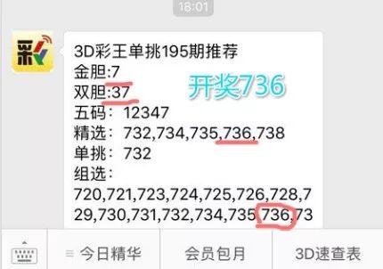 王中王一肖中特4993，深度解析與探索，王中王一肖中特4993深度解析與探索報告