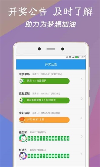 澳門今一必中一肖一碼一肖，揭秘彩票背后的秘密與策略，揭秘彩票背后的秘密與策略，澳門今一必中一肖一碼一肖探秘