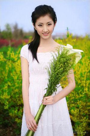新澳門生肖走勢圖精準(zhǔn)版，解讀與SEO策略，新澳門生肖走勢圖精準(zhǔn)解讀與SEO策略揭秘