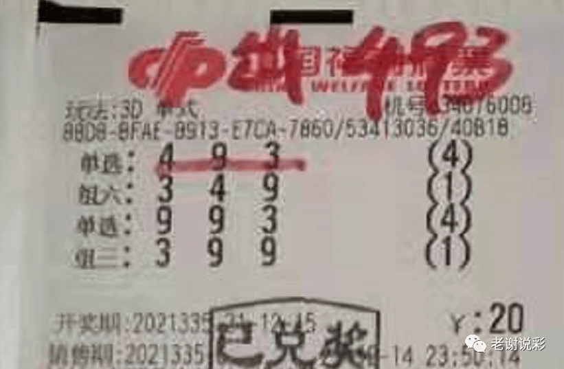 新奧門彩天天開獎資料一網(wǎng)羅萬象，揭秘彩票奧秘，揭秘彩票奧秘，新奧門彩天天開獎資料一網(wǎng)羅萬象