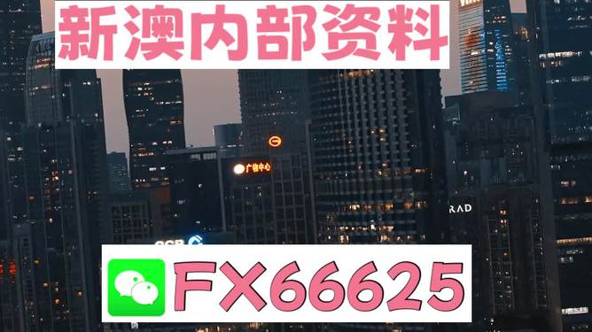 澳門跑狗，探索與解析，澳門跑狗，探索與解析之道