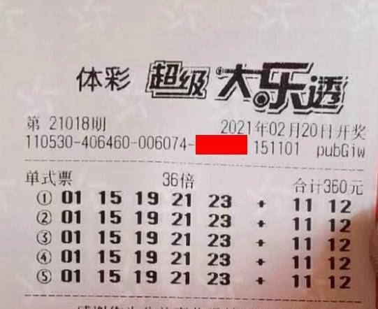 王中王018期指一生肖，揭秘背后的奧秘與意義，揭秘生肖奧秘，王中王生肖背后的意義與秘密